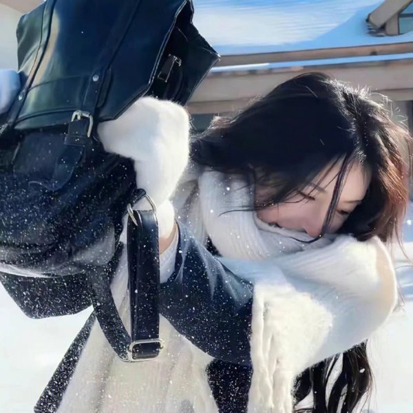 救援狗封面